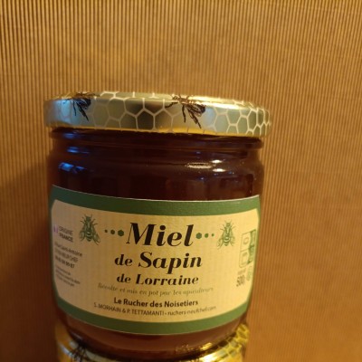 Miel de Sapin 500 G Médaille OR 2025 Concours Miel Lorraine